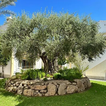 Casa De Familia Coast Vera