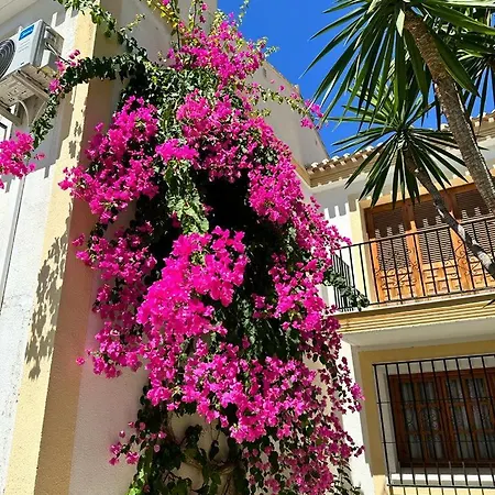 Casa De Familia Coast Apartment